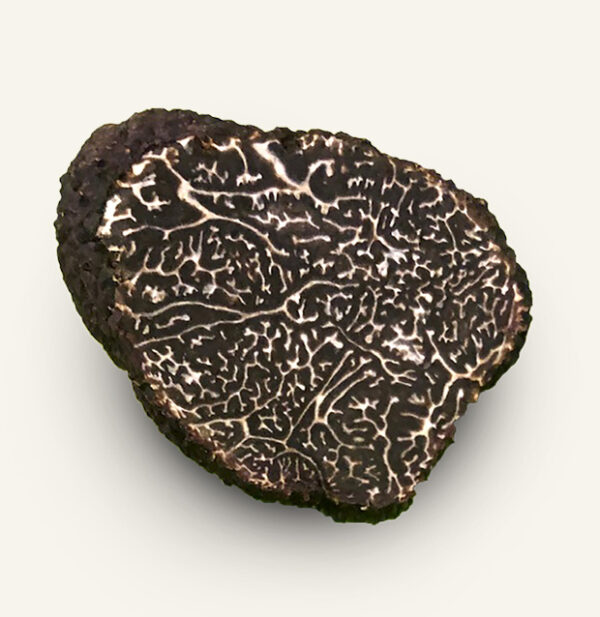 Half perigord truffle